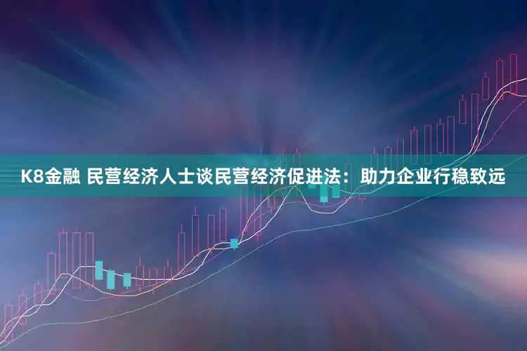 K8金融 民营经济人士谈民营经济促进法：助力企业行稳致远