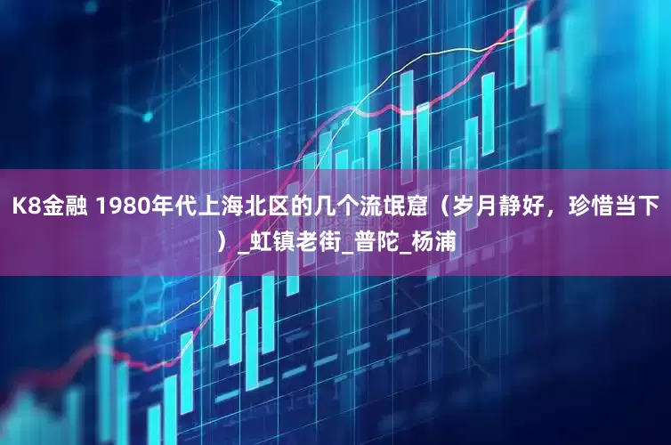 K8金融 1980年代上海北区的几个流氓窟（岁月静好，珍惜当下）_虹镇老街_普陀_杨浦