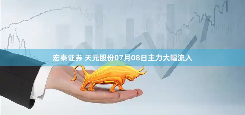 宏泰证券 天元股份07月08日主力大幅流入