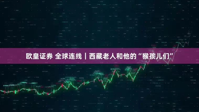 欧皇证券 全球连线｜西藏老人和他的“猴孩儿们”