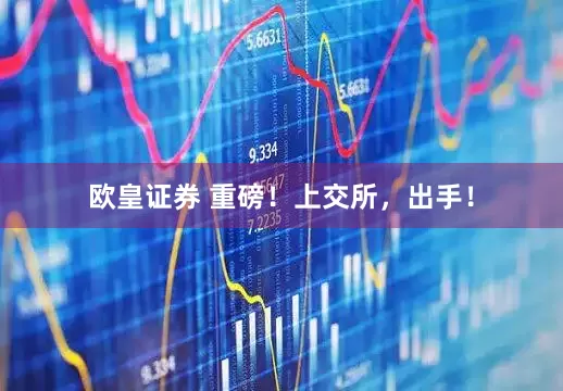 欧皇证券 重磅！上交所，出手！