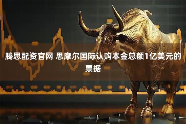 腾思配资官网 思摩尔国际认购本金总额1亿美元的票据